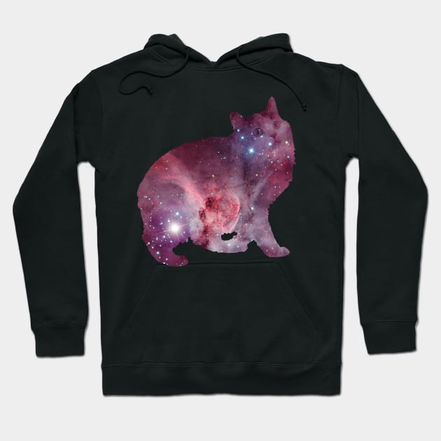 Nebula Kitty Hoodie by crashin